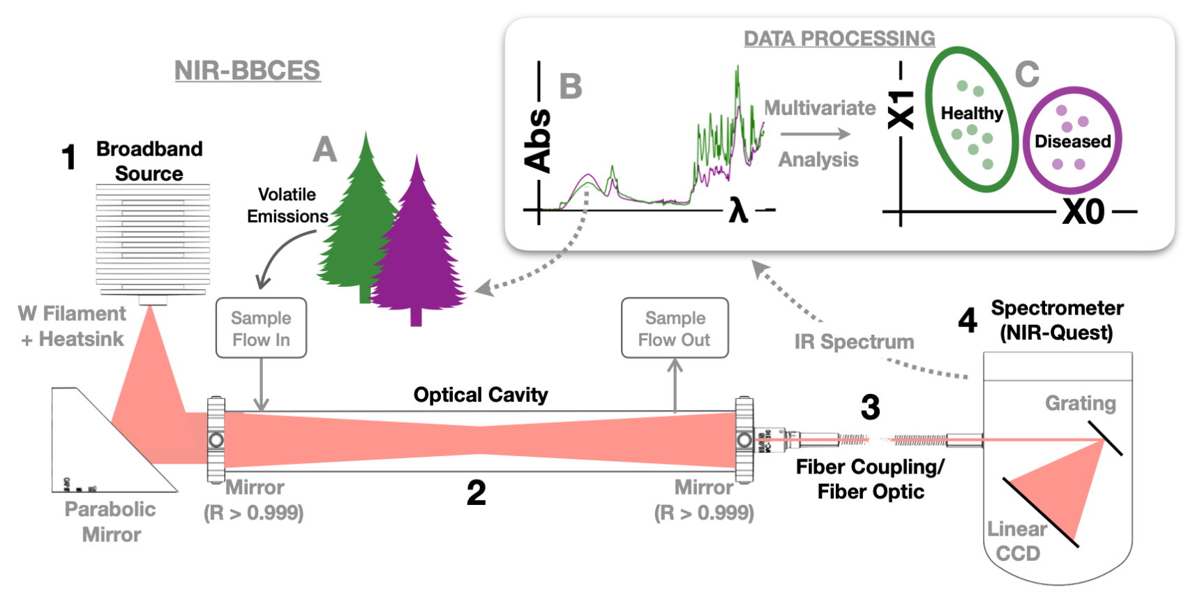 A schematic diagram of the NIR BBCES experiment with confier analysis as an example